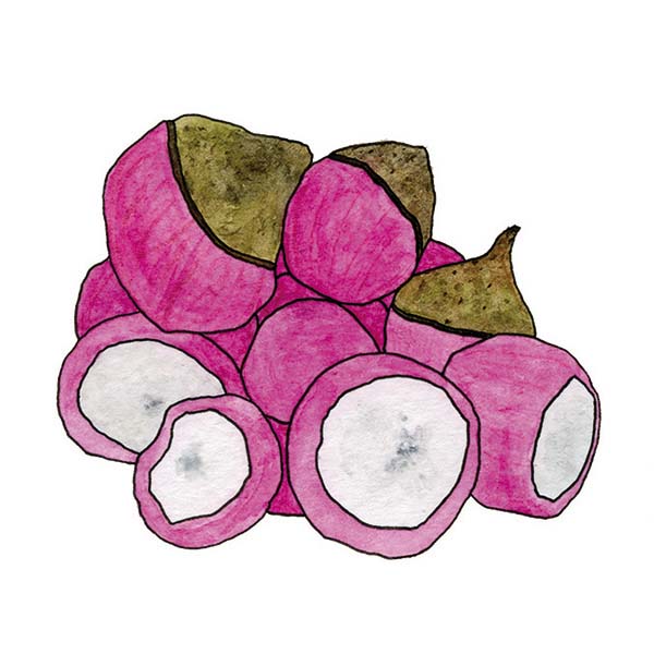 Ink and watercolor cartoon illustration of an engkala fruit.