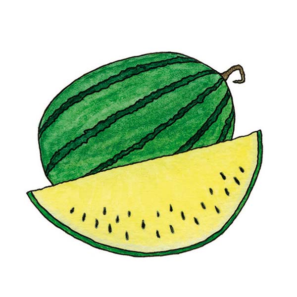Ink and watercolor cartoon illustration of a xigua fruit.